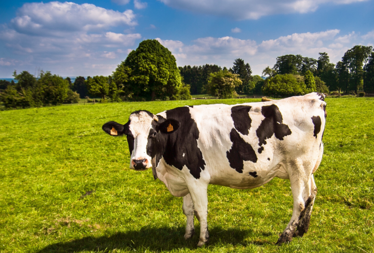 Blog Blockchain En El Sector Agroalimentario Panorama En 